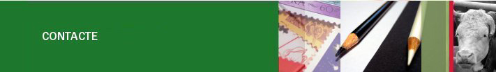 CONTACTE