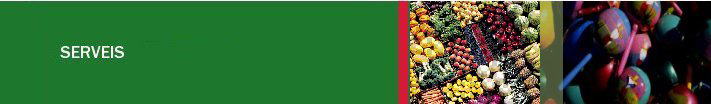SERVEIS